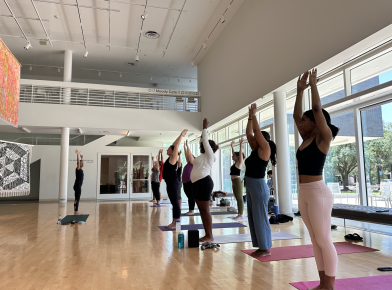 Wellness at the Moody Series