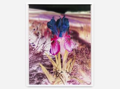 Opening Reception for Imaging After Photography