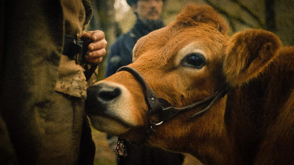 First Cow